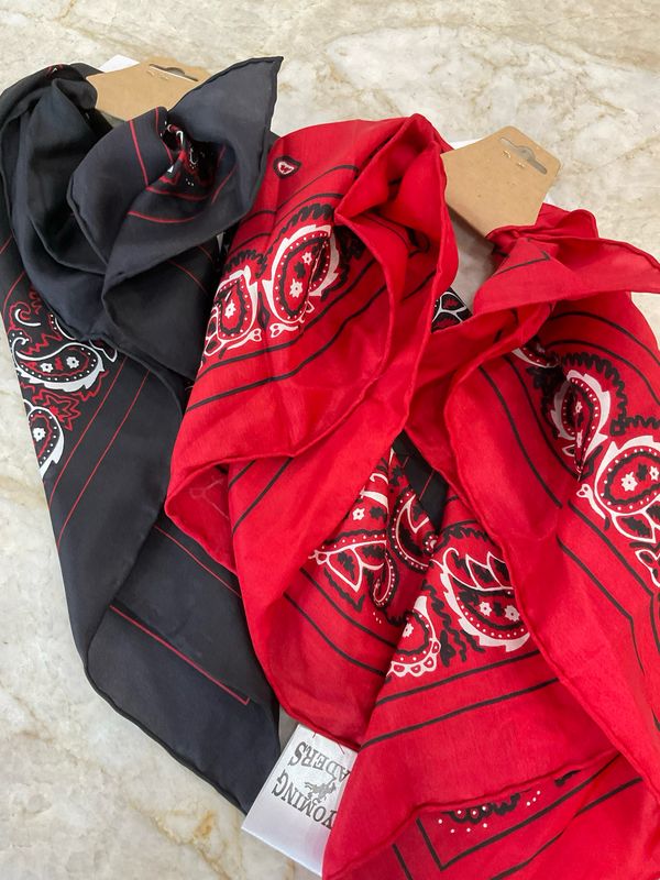 Wyoming Traders Assorted Silk Bandanas-Small 