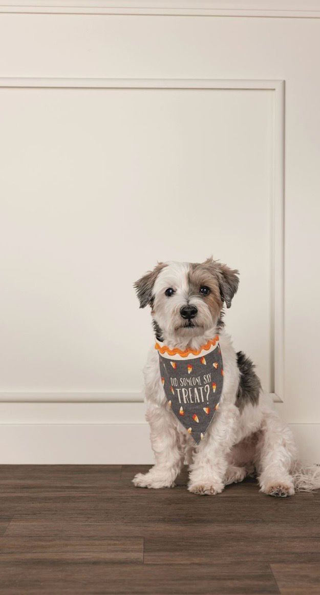 MudPie 41490027 Holiday Reversible Pet Bandanas