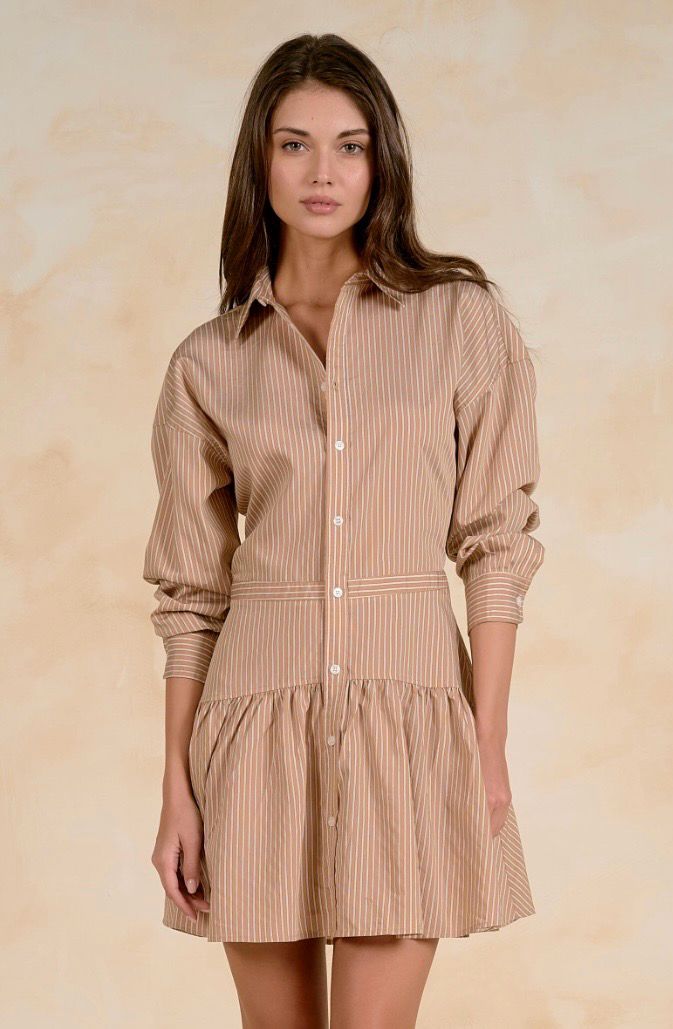 Elan CS50338 LS ButtonDown Dress-TanStripe