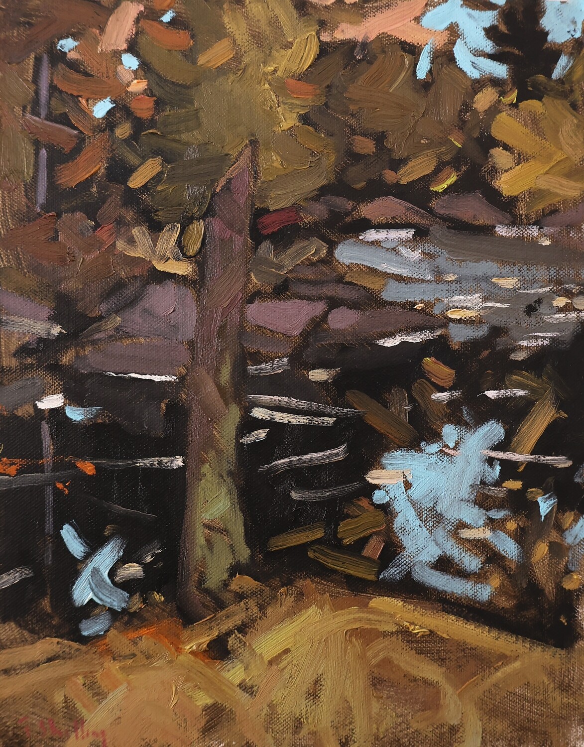 Black River in the Fall by Travis Shilling