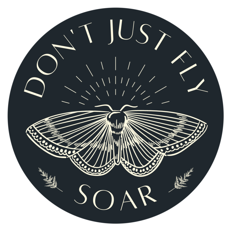 Don't Just Fly, Soar Sticker