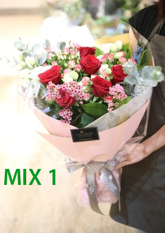 MIX