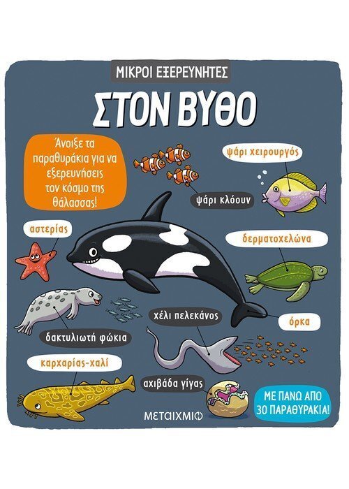 Στον βυθό - ΜΙΚΡΟΙ ΕΞΕΡΕΥΝΗΤΕΣ