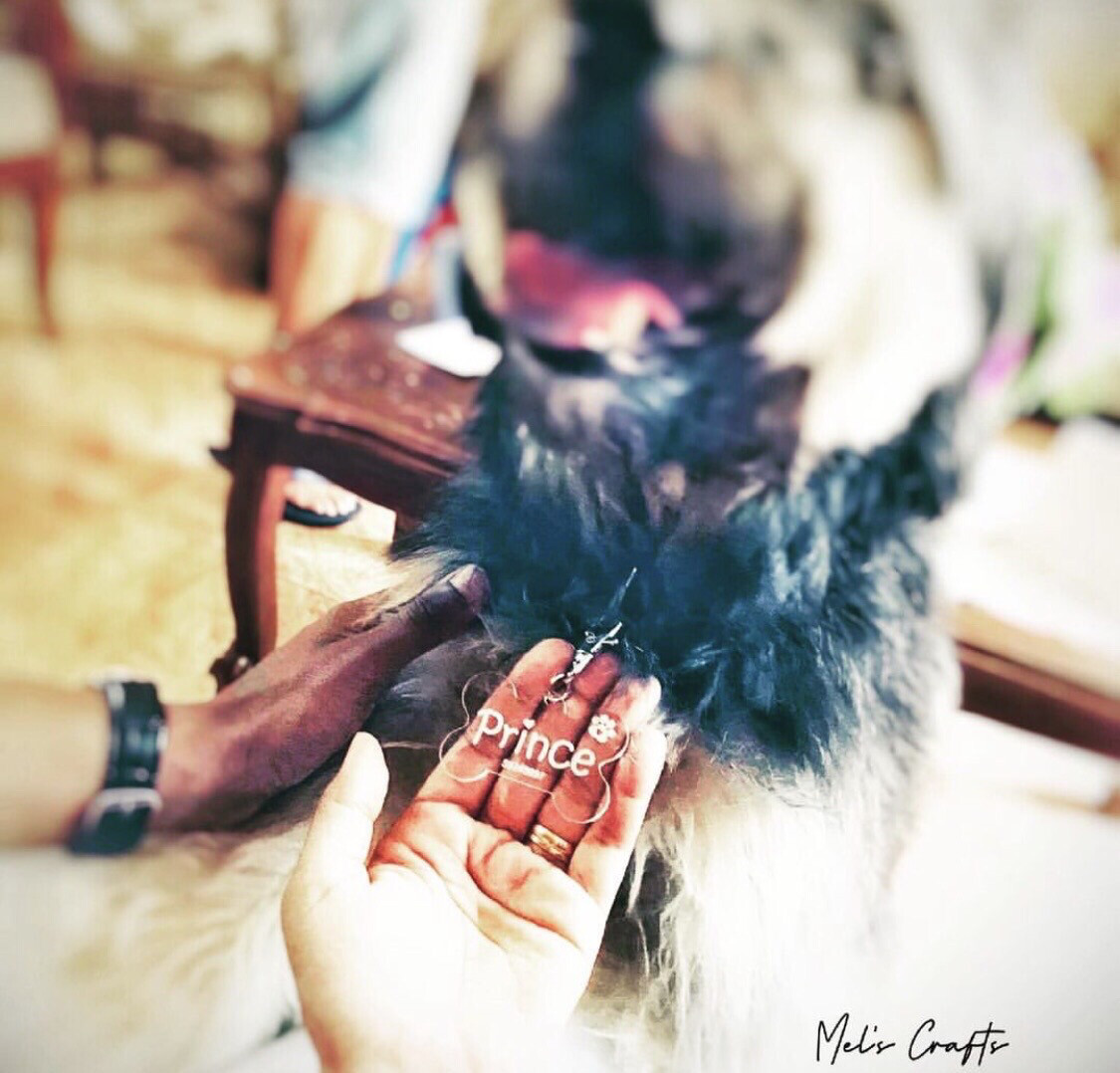 Dog Tag Bone