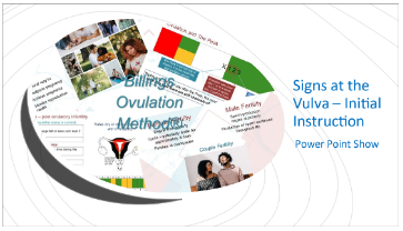 Signs at the Vulva - Initial Instruction PowerPoint Download