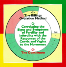 3 Presentations in One CD (Includes Literature)