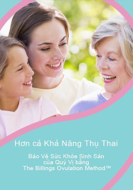 PDF eBook Safeguarding Reproductive Health Vietnamese