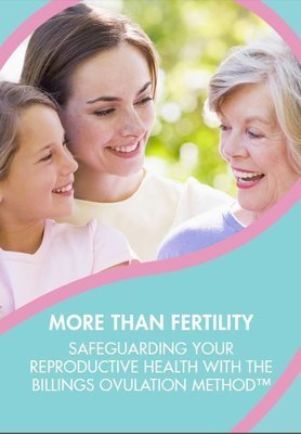 PDF eBook Safeguarding Reproductive Health English