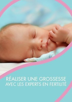 PDF eBook Achieving Pregnancy French