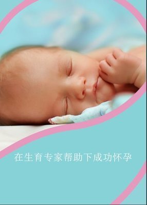 PDF eBook Achieving Pregnancy Chinese
