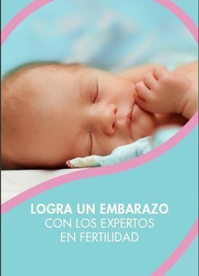 PDF eBook Achieving Pregnancy Spanish