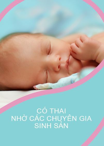 PDF eBook Achieving Pregnancy Vietnamese