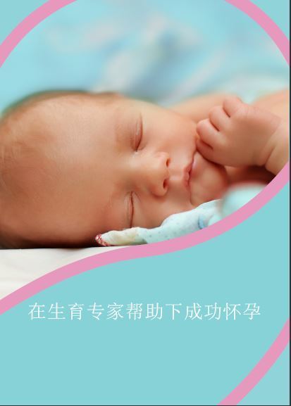 PDF eBook Achieving Pregnancy Chinese