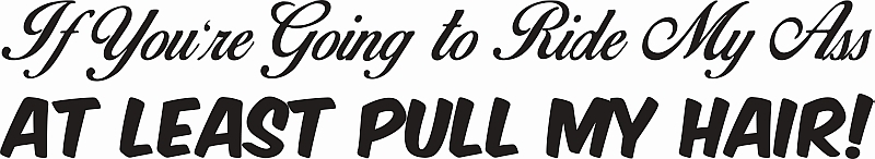 If You&#39;re Going to Ride My Ass at Least Pull My Hair!