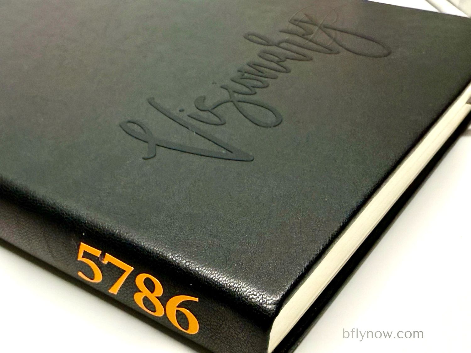 Premium Visionary Journal