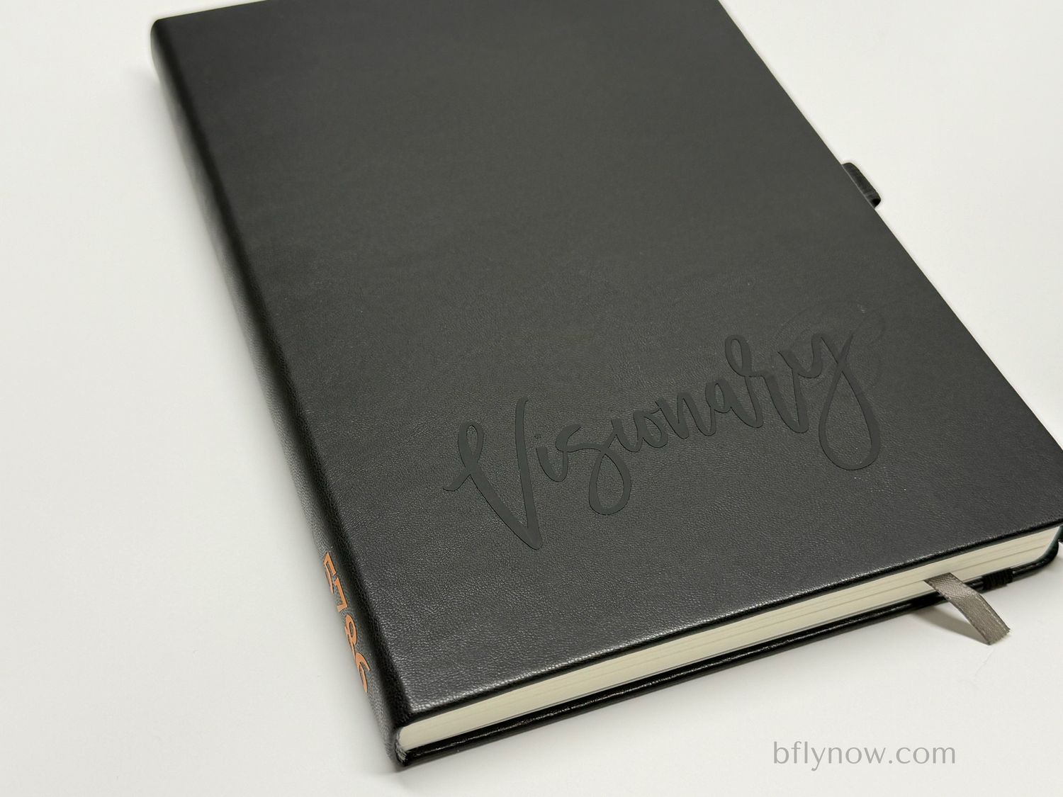 Premium Visionary Journal