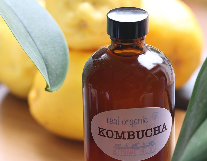 Real Kombucha [8oz]