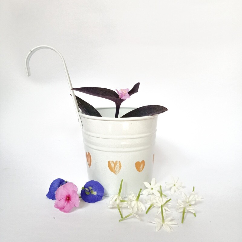 Home Décor Multicolor Metal Round 4 inch Railing Planter (White)