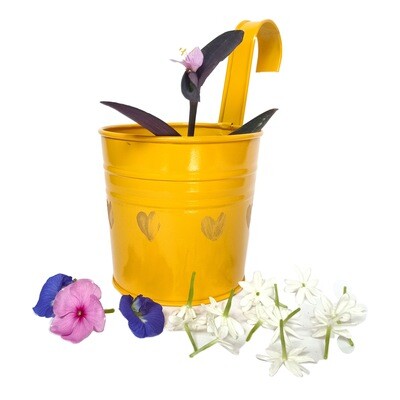 Home Décor Multicolor Metal Round 4 inch Railing Planter (Yellow)