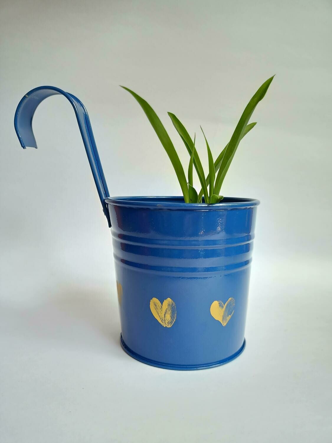 Blue Railing Planter with Live Spider Plant