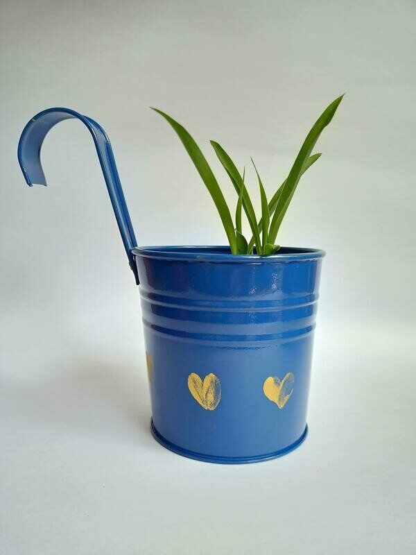 Blue Railing Planter with Live Spider Plant