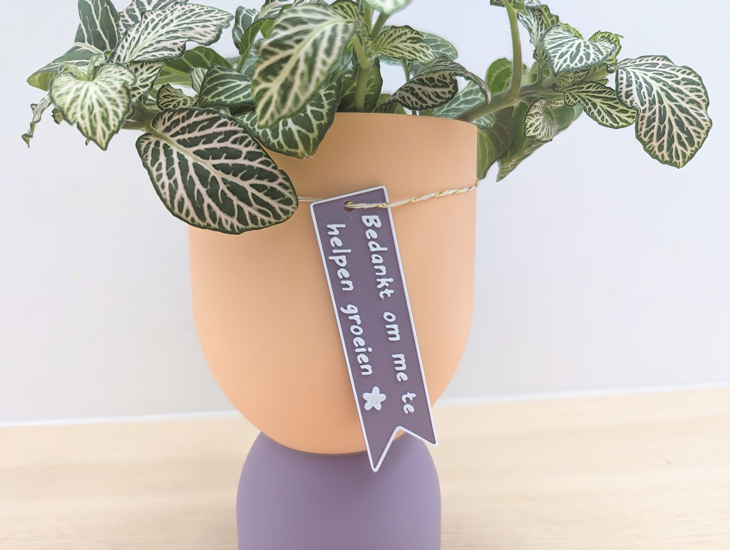 Cadeaulabels