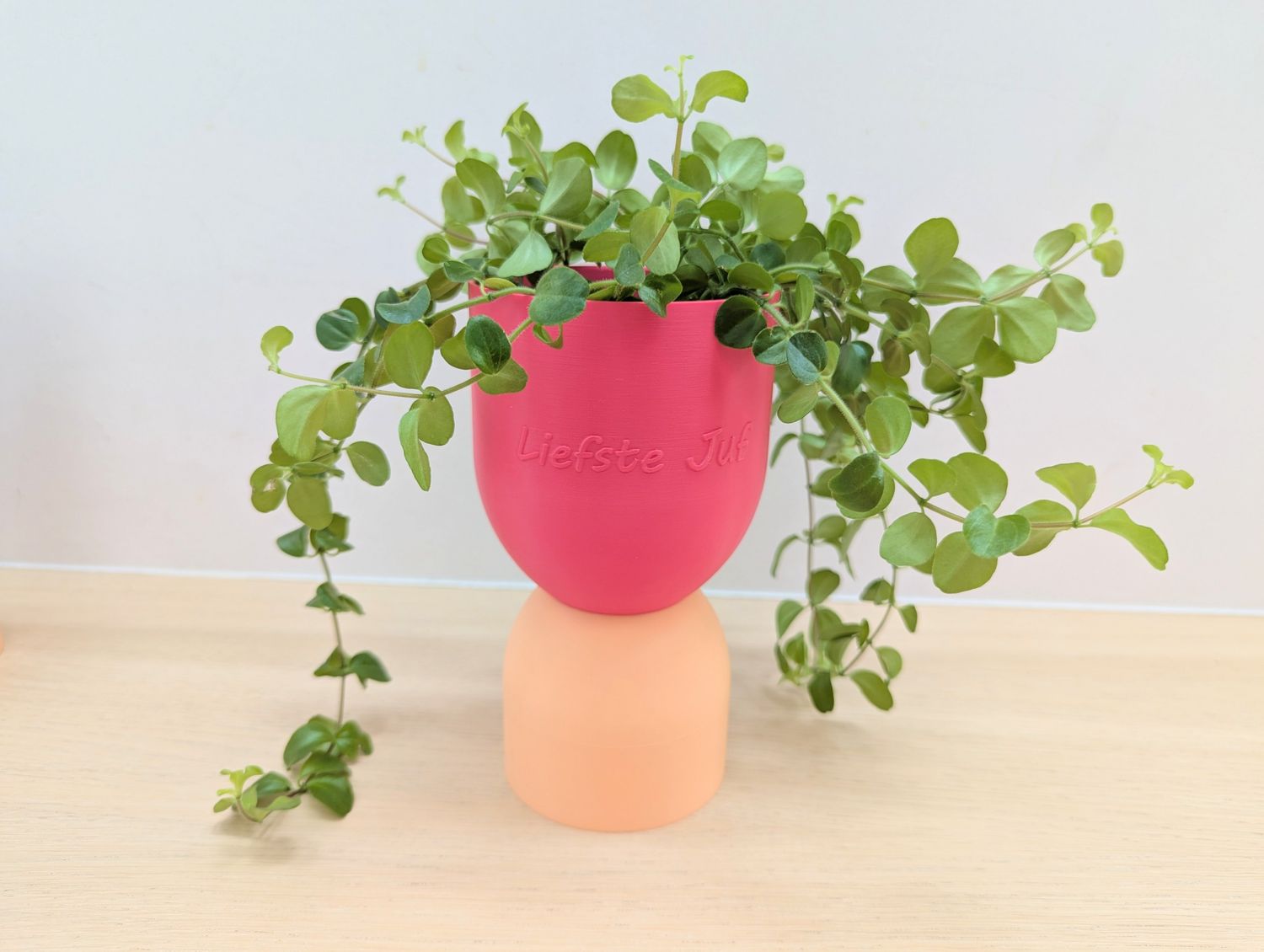 Mix &amp; Match vaas/ bloempot Gepersonaliseerd
