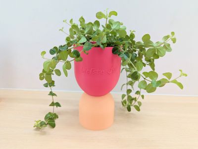 Mix &amp; Match vaas/ bloempot Gepersonaliseerd