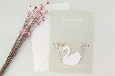 Magneetkaart &quot;Welcome little girl&quot;