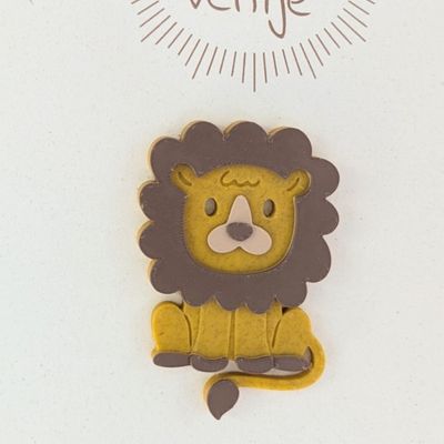 Magneetkaart "Welkom klein stoer ventje"