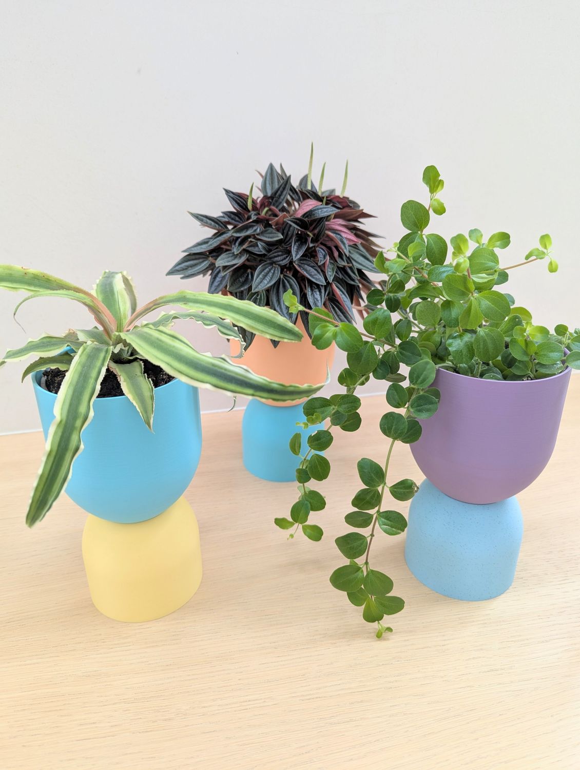 Mix &amp; Match vaas/ bloempot