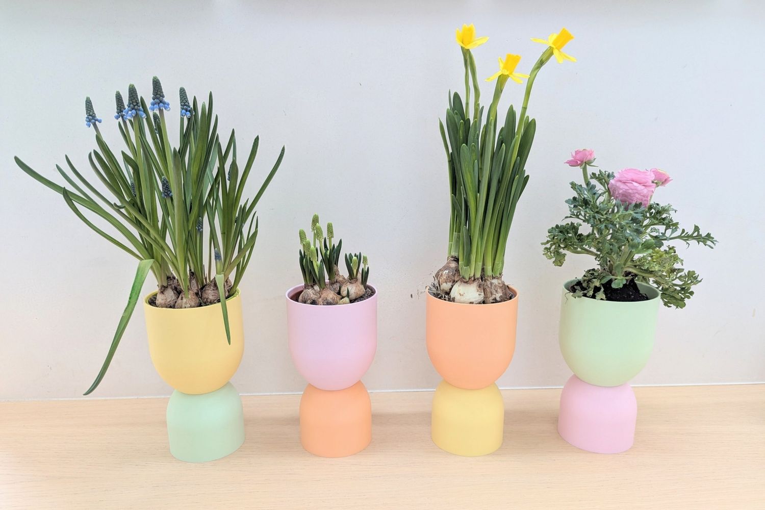 Mix &amp; Match vaas/ bloempot