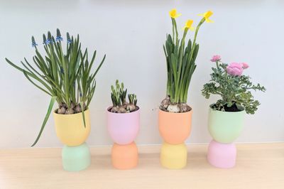 Mix &amp; Match vaas/ bloempot