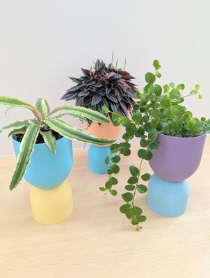 Mix &amp; Match vaas/ bloempot