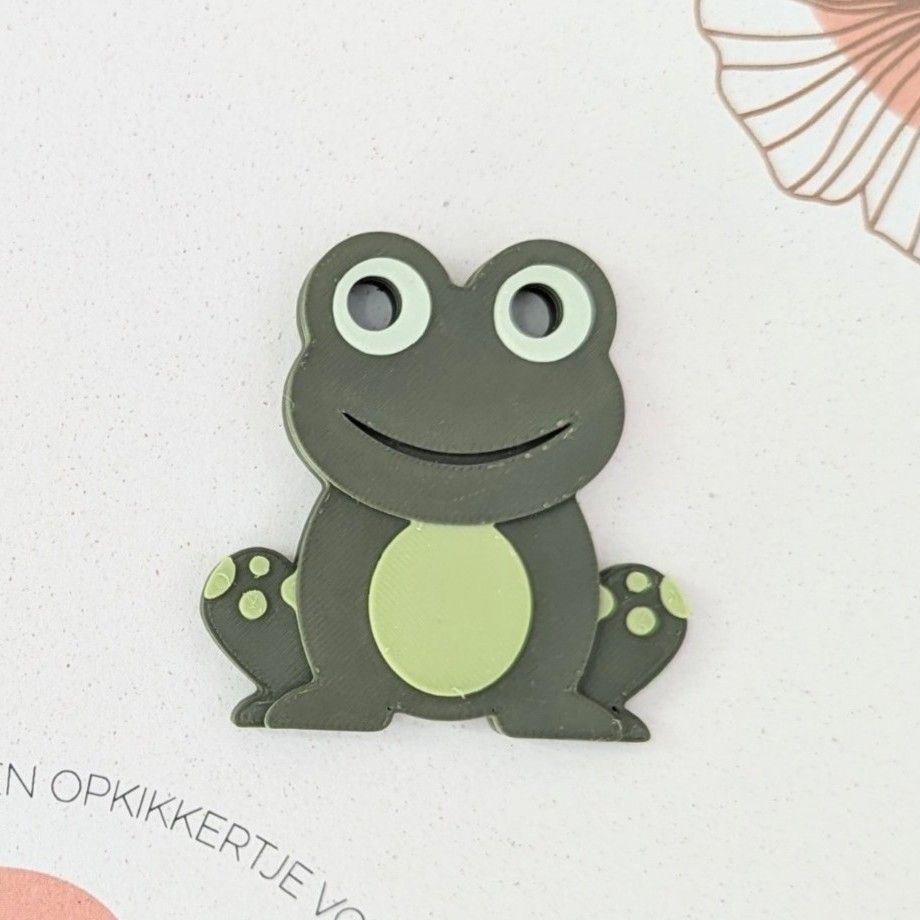 Magneetkaart "Een opkikkertje voor jou" - Kikker