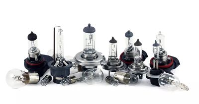 Bulbs
