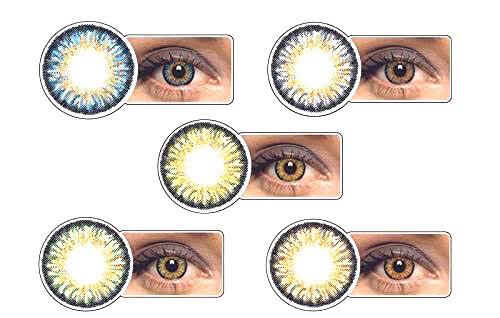 One Day Disposable Lenses