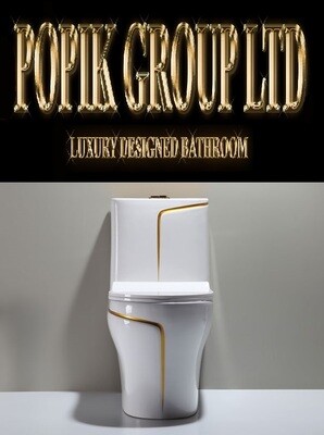 Diamond White Luxury Toilet with gold line