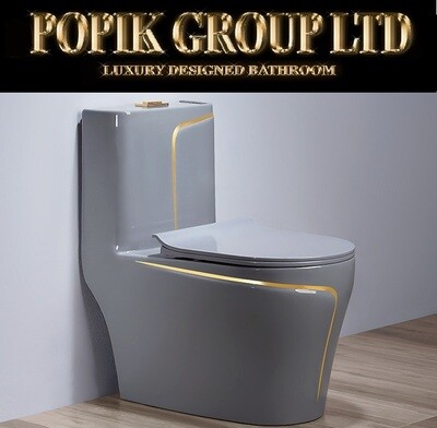 GREY Luxury Elongated One-Piece Toilet Design Model with Gold line WC, rimless
