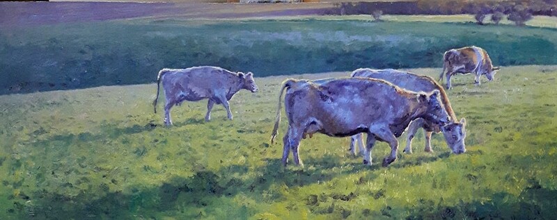 Evening Shadows