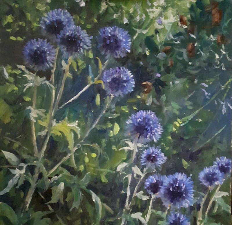 Blue Globe Echinops
