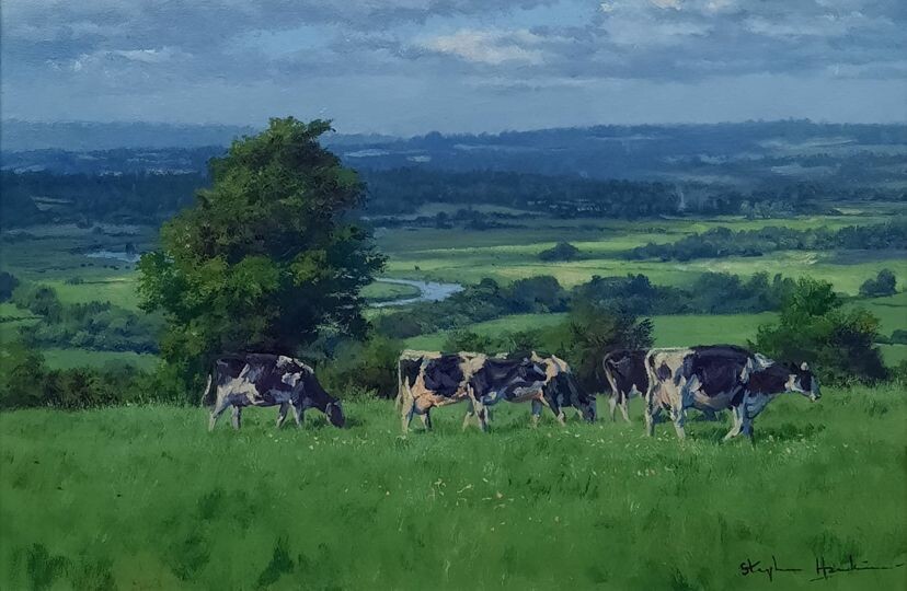 The River Arun from Amberley Mount