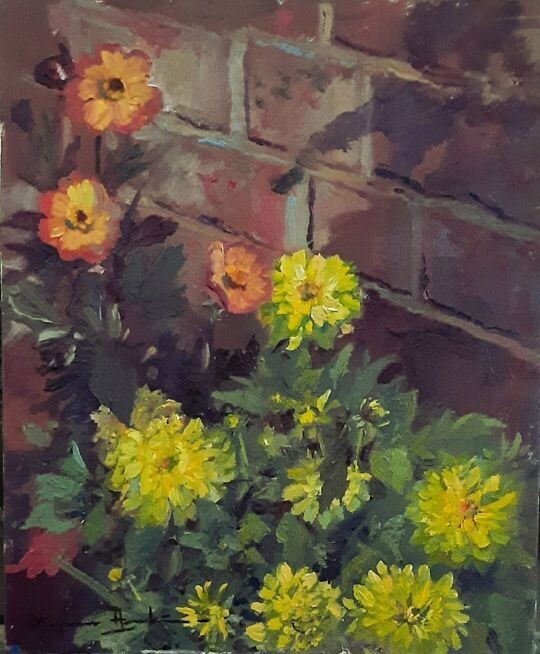 A Sunny Corner