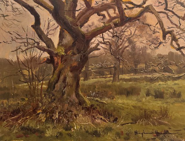 The Old Oak Tree
