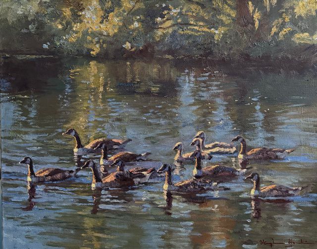 Water Fowl