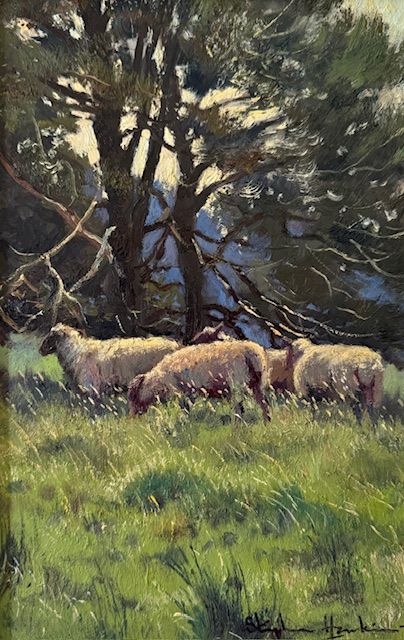 Sheep in the Long Grass