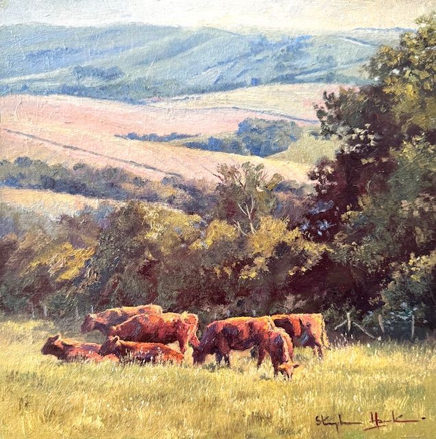 Downland Cows
