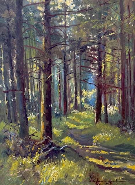 Quiet Pine Forest