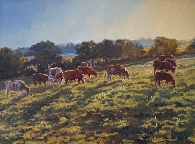 Golden Hour Cows
