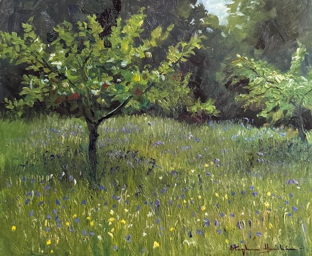 Mid Summer Flower Meadow